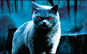 Τον Οκτώβριο το "Pet Sematary" σε Blu-ray