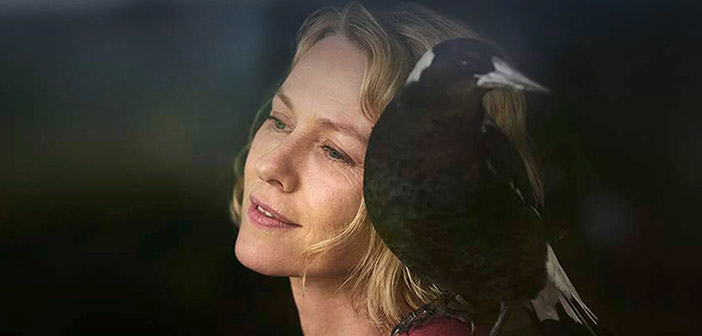 Πρώτο Trailer Από Το "Penguin Bloom"