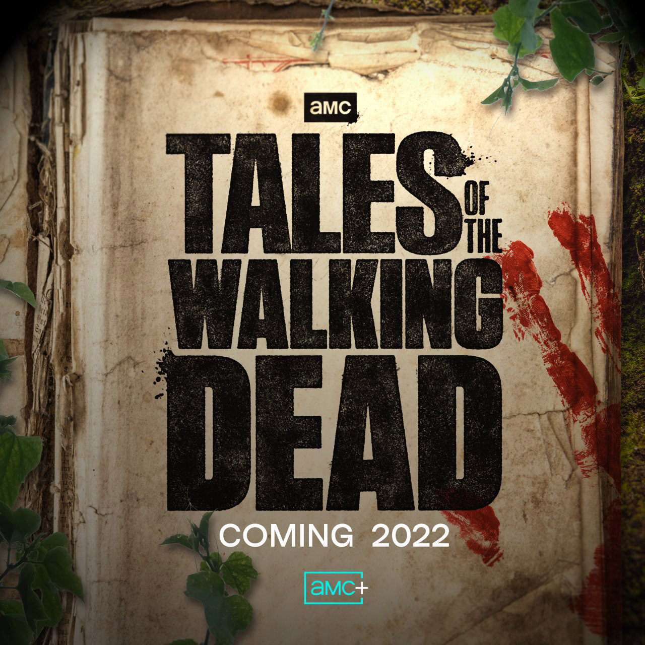 Το AMC Παράγγειλε Το "Tales of The Walking Dead"
