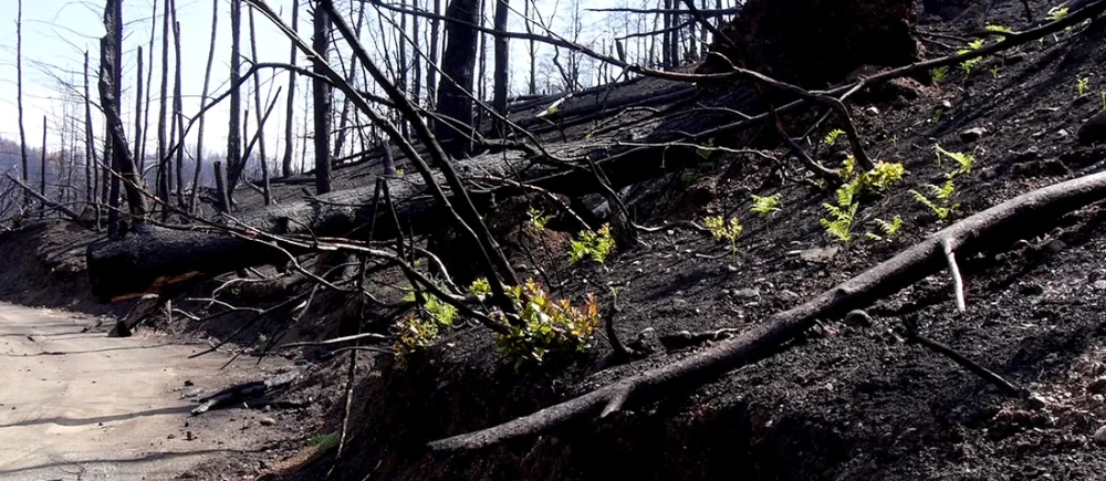 Δείτε το Ντοκιμαντέρ "Βόρεια Εύβοια Το Σχέδιο 1ο Μέρος"