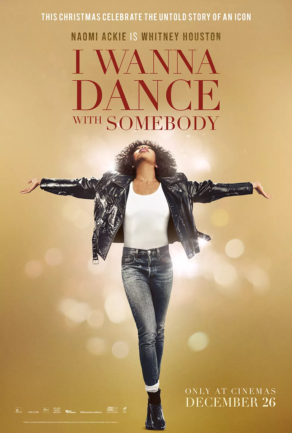 Trailer Από Το "I Wanna Dance With Somebody"