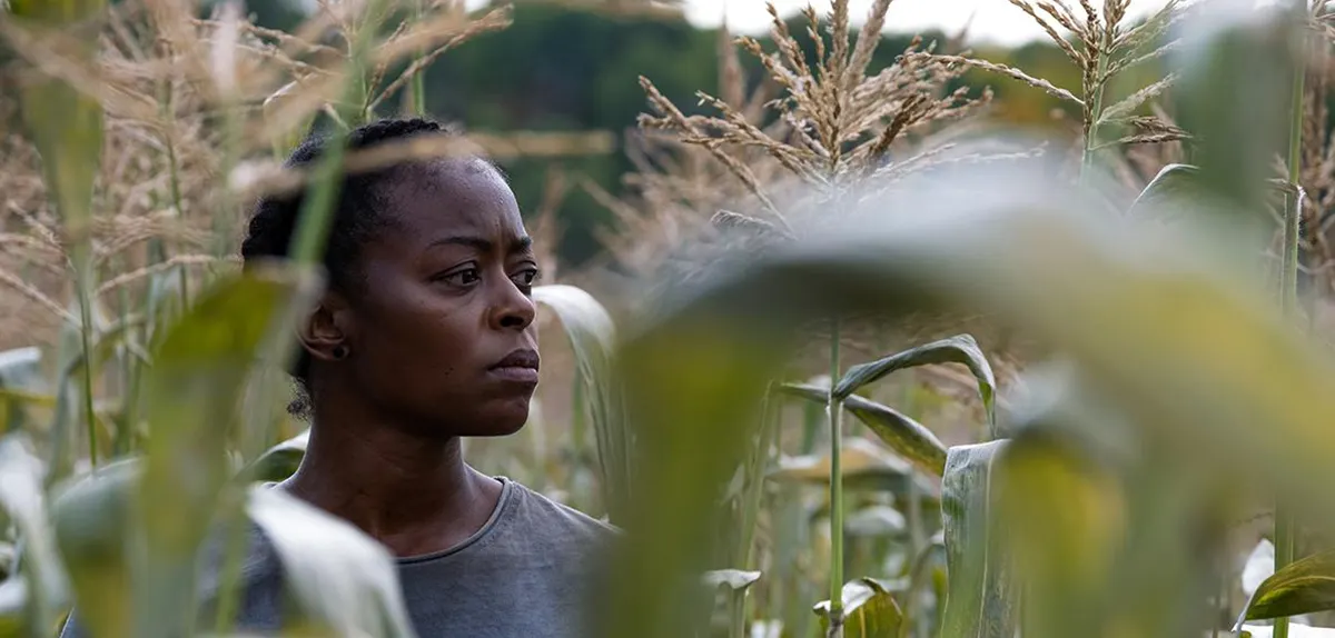 "40 Acres"